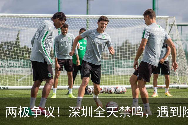 两极争议！深圳全天禁鸣，遇到险情还能按喇叭吗？官方给出答案