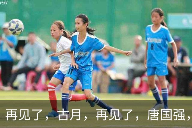 再见了，古月，再见了，唐国强，中国电视已迎“新特型演员”时代