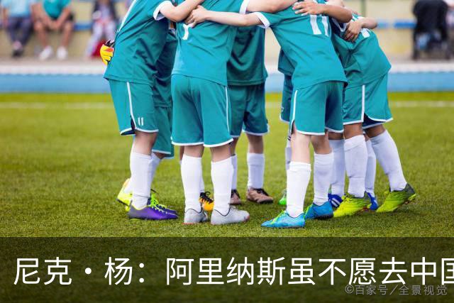尼克·杨：阿里纳斯虽不愿去中国 但喜欢在中国网购平台狂买衣服