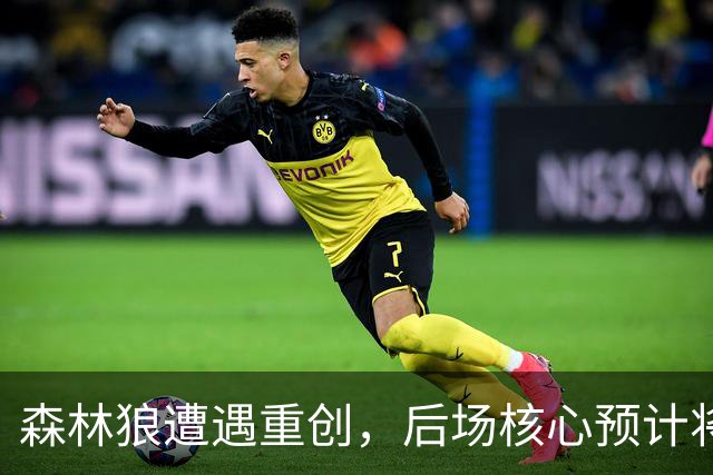 森林狼遭遇重创，后场核心预计将缺席两个月的时间？