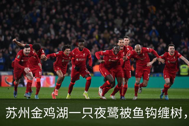 苏州金鸡湖一只夜鹭被鱼钩缠树，市民爬树救下，“有6个鱼钩，脚和翅膀全被钩住”，公园称此处并非垂钓点