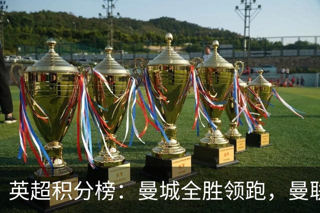 英超积分榜：曼城全胜领跑，曼联第13，热刺脱离降级区