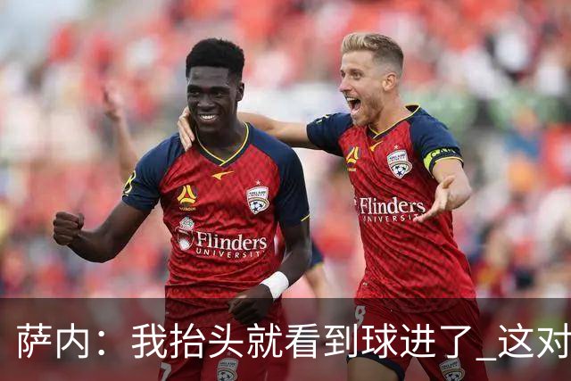 萨内：我抬头就看到球进了 这对特狮来说很不幸