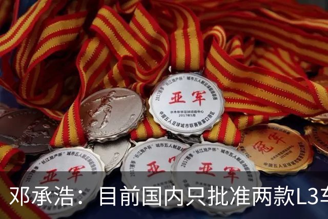 邓承浩：目前国内只批准两款L3车型 其它企业讲L3级是在打擦边球