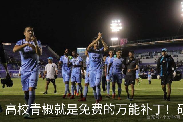 高校青椒就是免费的万能补丁！硕士点申报、师范认证、科研秘书......一样都没有落下，结果等到奖励的时候，什么都没有！！