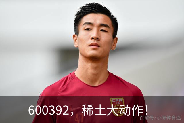 600392，稀土大动作！